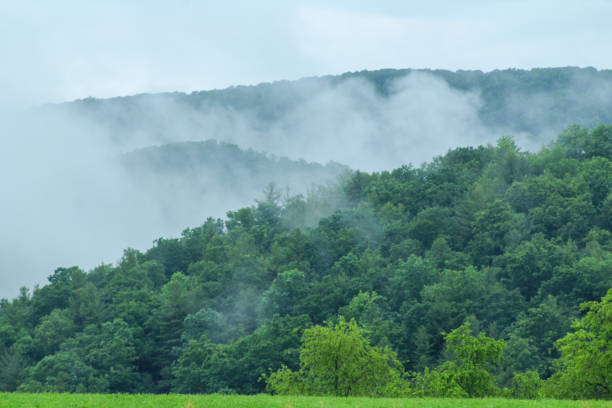istock Clouds on the mountain after the rain 1249667585