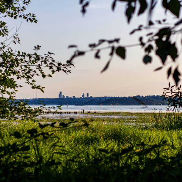 Juanita Bay through the trees