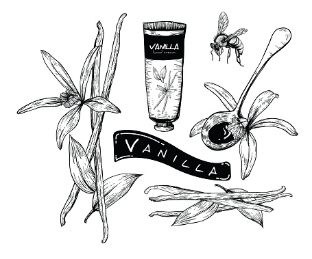 Honey Vanilla set