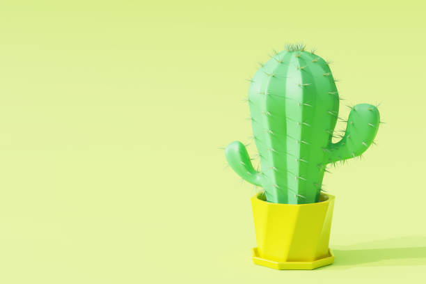 istock Cactus in cartoon minimal style with light green background. 1249676517
