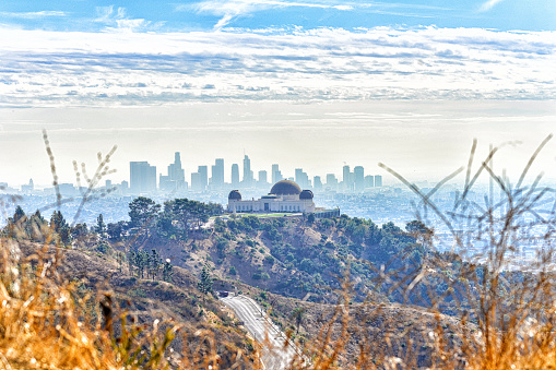 Griffith Observatory and Nature Landscape and Los Angeles City Skyline