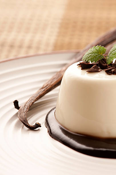 istock Panna Cotta with chocolate and vanilla beans 124967800
