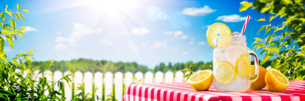 Lemonade On Table In Garden Glass Of Lemonade On Table In Garden With Lemons And Sunlight - Summertime picnic stock pictures, royalty-free photos & images