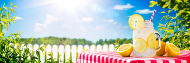 Glass Of Lemonade On Table In Garden With Lemons And Sunlight - Summertime