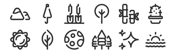 set of 12 thin outline icons such as sunrise, pine tree, leaf, bamboo, reed bed, umbrella for web, mobile set of 12 thin outline icons such as sunrise, pine tree, leaf, bamboo, reed bed, umbrella for web, mobile marsh illustrations stock illustrations