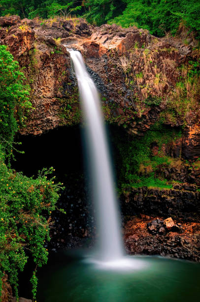 rainbow falls hawaii - hilo isla grande de hawái fotografías e imágenes de stock