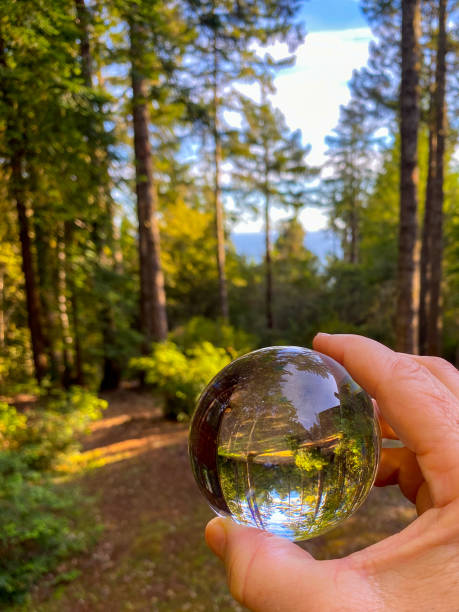 istock Glass ball in forest held in hand 1249692050