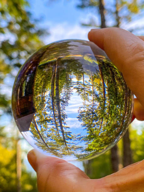 istock Glass ball in forest held in hand 1249692051