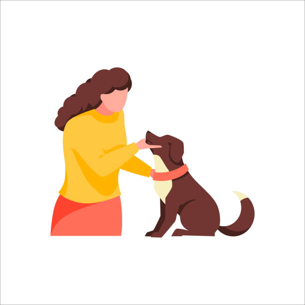Owner With Pet Isolated On White Background Female Character Play With Dog  Cute Woman Stroking Friendly Brown Puppy Stock Illustration - Download  Image Now - iStock