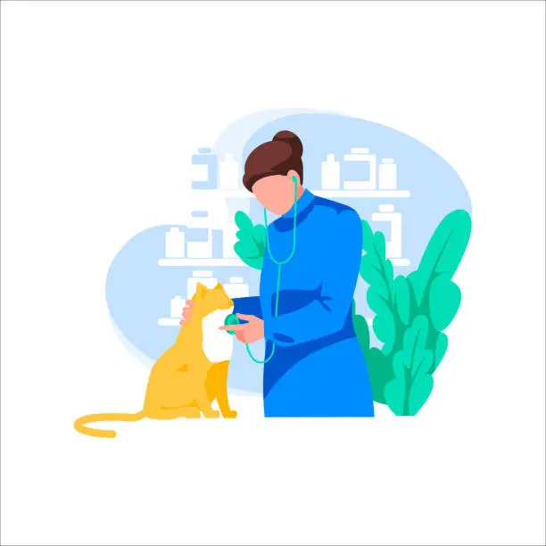Vector illustration of Doctor with stethoscope examines cat, isolated on white background. Concept of medicine and pet care
