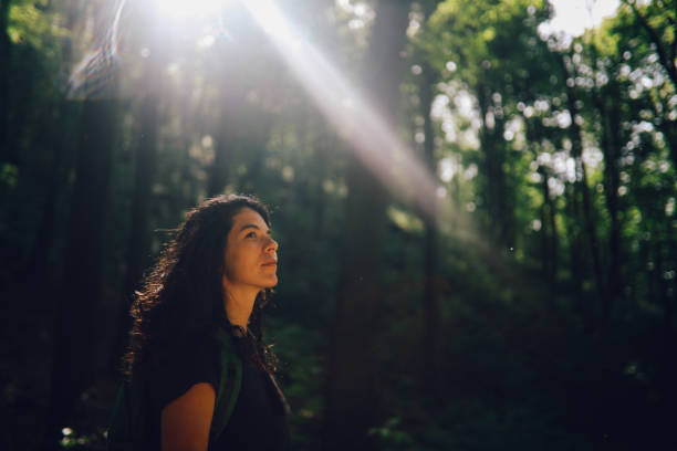 istock Woman hiking in the forest 1249696084