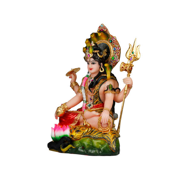 istock Hindu goddess Shiva on a white background 1249696295