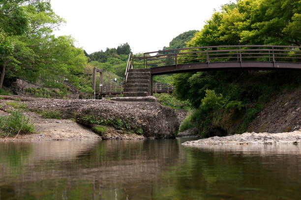 istock A bridge looking up from the surface of the water 1249711263