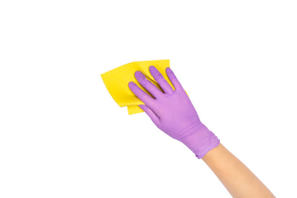 istock Hand in a latex disposable glove holding microfiber cloth isolated on white 1249713210