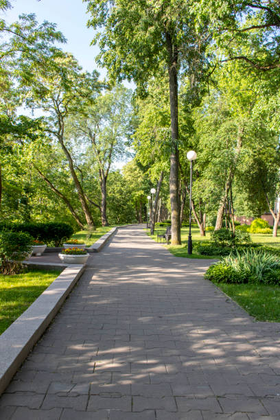 istock Alley in the Park on a summer morning. 1249715557