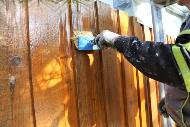 istock Painter painting a wooden fence 1249717876
