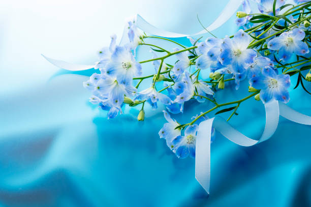 istock The flower which is called blue-colored Delphinium 1249718652