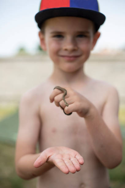 istock Lover Of The Wildlife 1249721784