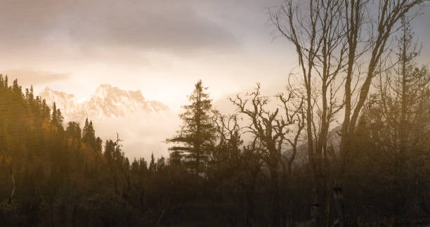 Nature landscape view of sunrise with foreground tree and nature snowcapped mountain morning scenics view horizital copyspace background Nature landscape view of sunrise with foreground tree and nature snowcapped mountain morning scenics view horizital copyspace background meili mountains photos stock pictures, royalty-free photos & images
