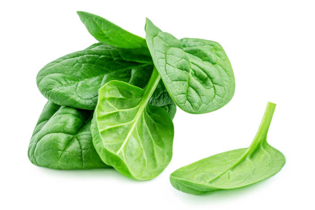 istock Spinach leaves isolated  on white background. Fresh spinach Close up 1249723055