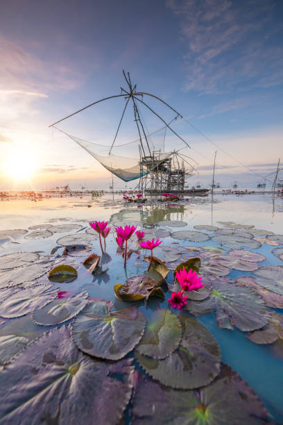 漁村は、ネットとヨキョルパクプラパタルンタイで魚をキャッチ - southern thailand ストックフォトと画像