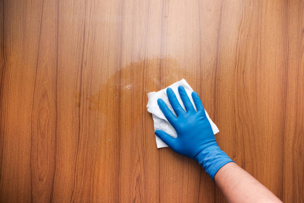 istock hand holding spray bottle and cleaning table 1249725061
