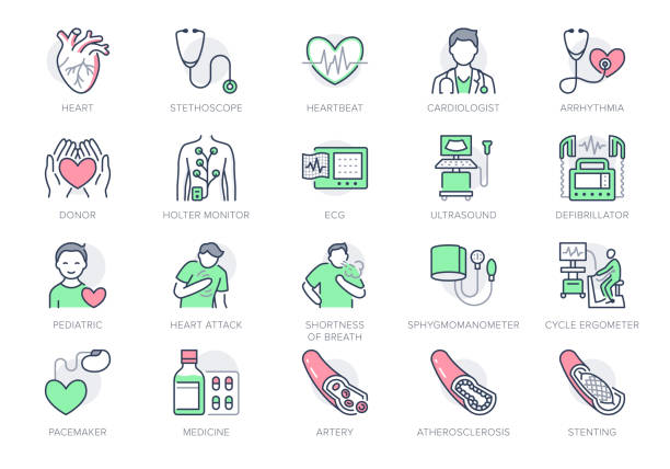 Cardiology line icons. Vector illustration included icon as heart attack, ecg, doctor, pacemaker, defibrillator outline pictogram for cardiovascular clinic. Editable Stroke, Green Color Cardiology line icons. Vector illustration included icon as heart attack, ecg, doctor, pacemaker, defibrillator outline pictogram for cardiovascular clinic. Editable Stroke, Green Color. cardiovascular exercise stock illustrations