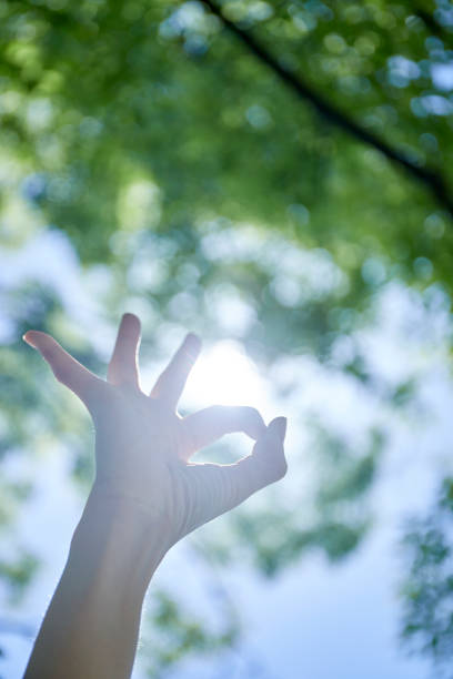 istock Young woman reaching for fresh green 1249727715