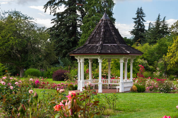 istock Gazebo in Rose garden 1249727919