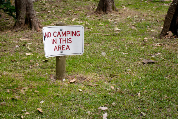 istock No camping in this area sign on a green grass surrounded by trees. 1249727929