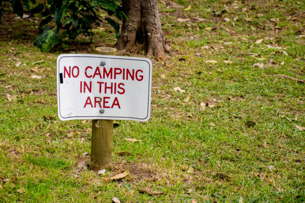 istock No camping in this area sign on a green grass surrounded by trees. 1249727994