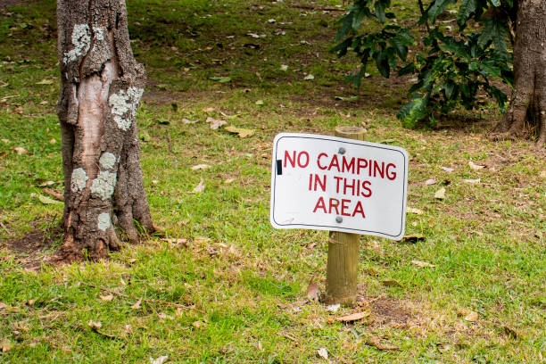 istock No camping in this area sign on a green grass surrounded by trees. 1249728781