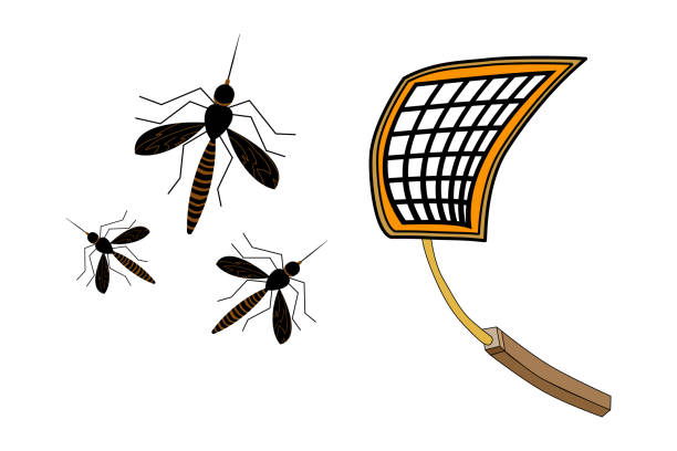 ilustraciones, imágenes clip art, dibujos animados e iconos de stock de fly swatter con mosquitos aislados sobre fondo blanco. - abofetear