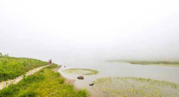 Photo of people,family  walking on path,scenic view of path in the forest,meadow and lake with fog on the day.