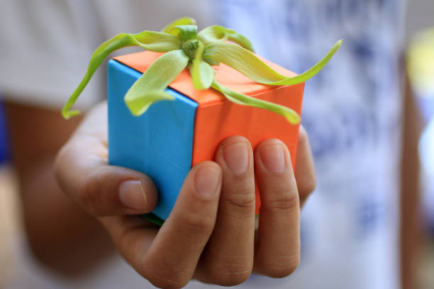 Young woman hand holding a colorful  small cute gift box with a green cananga odorata flower on it.