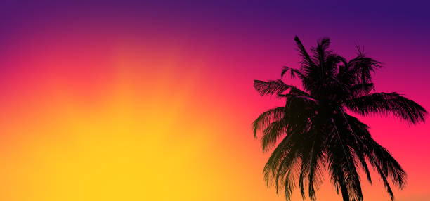 istock Sunset on tropical beach with palm 1249734941