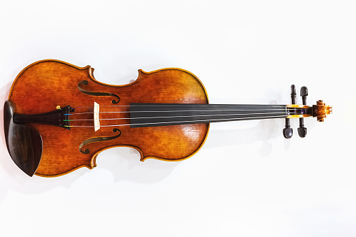 Classic violin closeup on a white background. Musical stringed instrument.