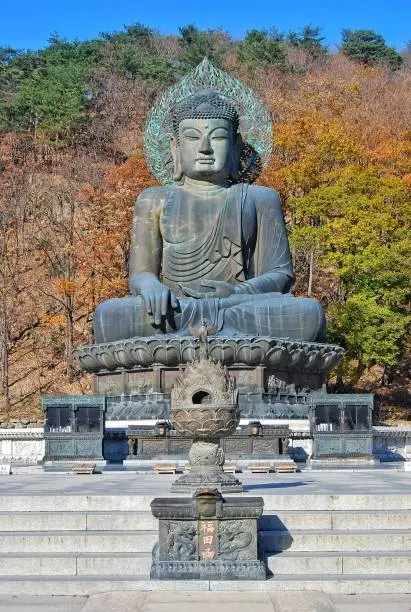 Sokcho, South Korea - November 12, 2014 :  Big Buddha Monument of Sinheungsa Temple in Seoraksan National Park.