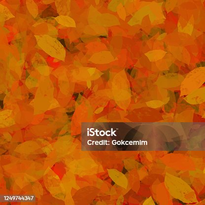 istock Hand Drawn Autumn Leaves Background. Floral Frame Isolated Background. Geometric Frame Invitation Card Template with Autumn Leaves. Vector Floral Border Design Element for Birthday, Thanksgiving Card, Wedding Invitation. 1249744347