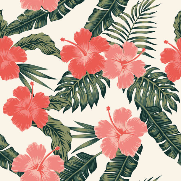 illustrazioni stock, clip art, cartoni animati e icone di tendenza di fiori ibisco colore astratto foglie tropicali senza soluzione di continuità - polynesia