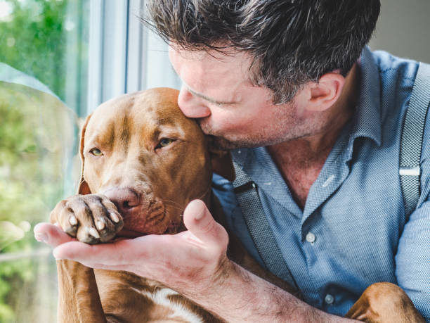 istock Handsome man and a charming puppy. Close-up 1249746936