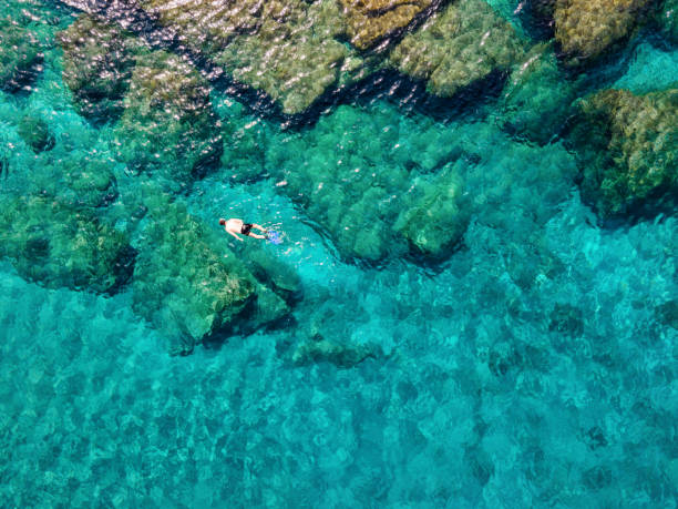 A man snorkeling in the emerald waters of the Aegean Sea A man snorkeling in the emerald waters of the Aegean Sea in Andros island, Cyclades, Greece, during summer time cyclades islands stock pictures, royalty-free photos & images
