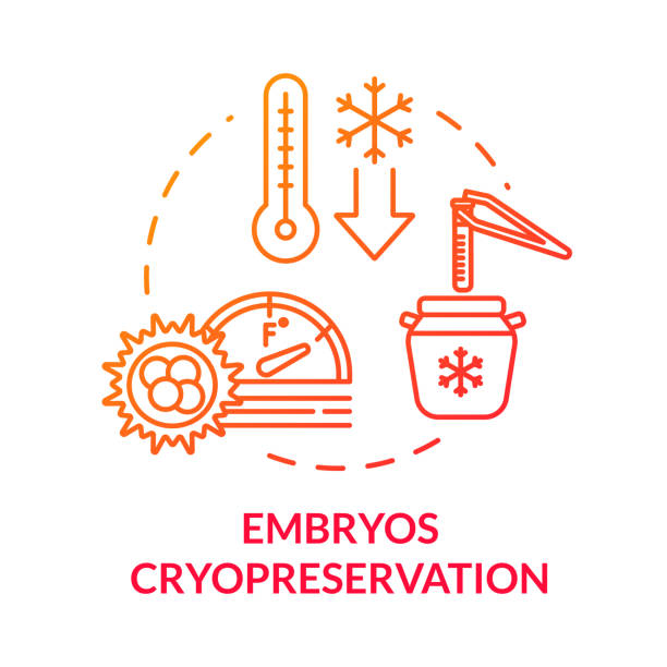 embrio cryopreservation ikon konsep merah. prosedur klinis ivf. pengobatan infertilitas. ilustrasi garis tipis ide teknologi reproduksi. vektor terisolasi kerangka gambar warna rgb - oocyte cryopreservation foto ilustrasi stok