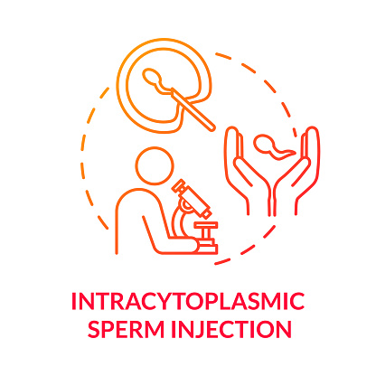 Intracytoplasmic sperm injection red concept icon. Microscope analysis. In vitro fertilisation. Reproductive technology idea thin line illustration. Vector isolated outline RGB color drawing