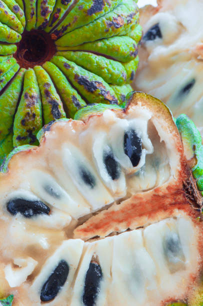 Custard tropical fruit Custard apple is named in Brazil as Fruta do conde, Cherimoya fruit . Brazil annona muricata stock pictures, royalty-free photos & images