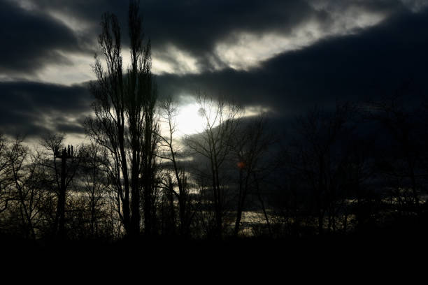 istock Silhouette bare trees with dark cloudy sky background photo 1249751230
