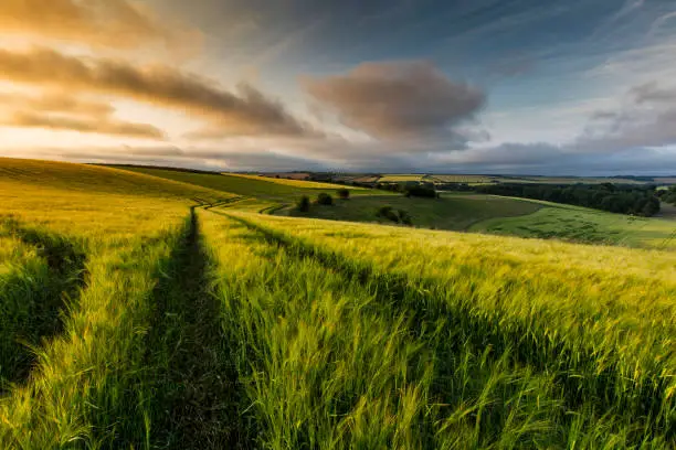 Photo of Bluestone Heath Road, Lincolnshire, UK, July 2017, Landscape view of the Lincolnshire Wolds