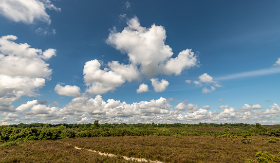Summer Clouds over the New Forest in Hampshire, UK
