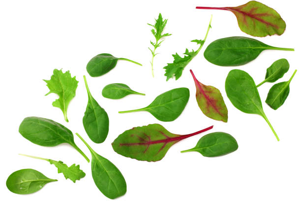 istock Mix of different salads isolated on white background. top view 1249757061
