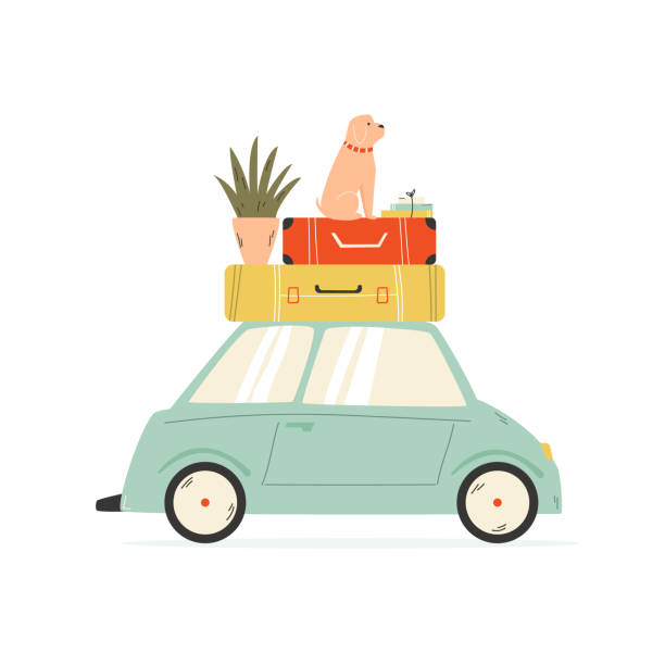 illustrations, cliparts, dessins animés et icônes de van portant des valises, pot de fleurs et chien. relocalisation, concept de déménagement. - déménagement